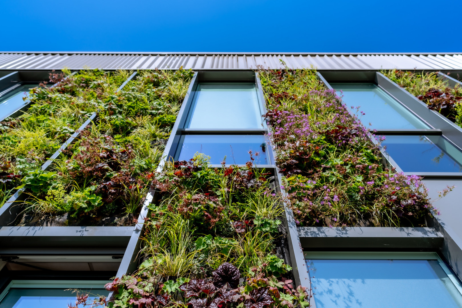 Bedrijfspand Alkmaar